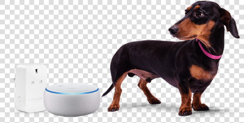 Stanley And Amazon Echo Dot And Plug  HD Png DownloadTransparent PNG