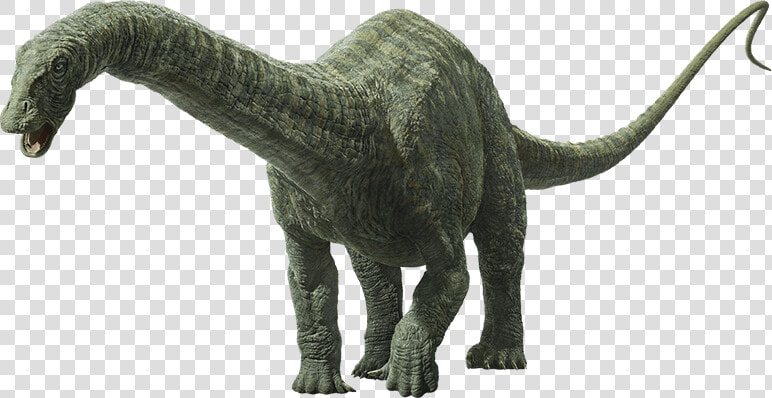 Jurassic World Fallen Kingdom Apatosaurus  HD Png DownloadTransparent PNG