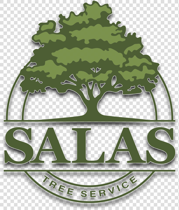 Salas Tree Service  HD Png DownloadTransparent PNG