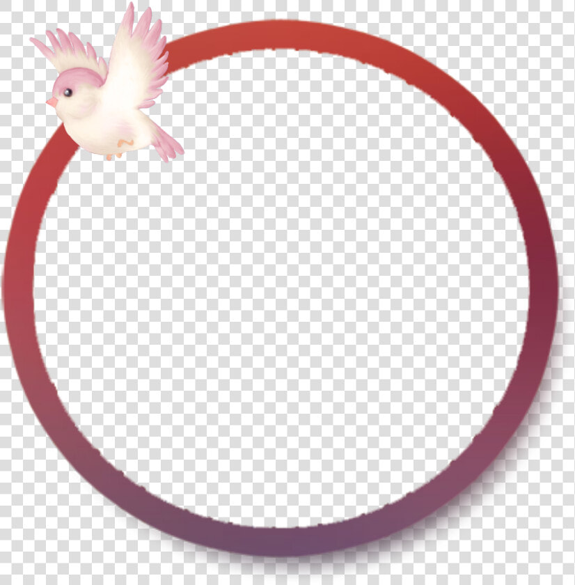  mq  pink  bird  circle  frame  frames  border  borders   Circle  HD Png DownloadTransparent PNG