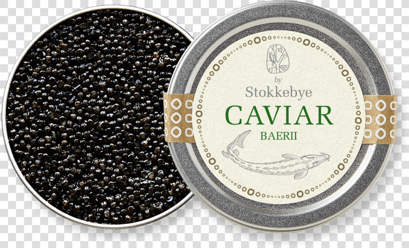 Caviar  HD Png DownloadTransparent PNG