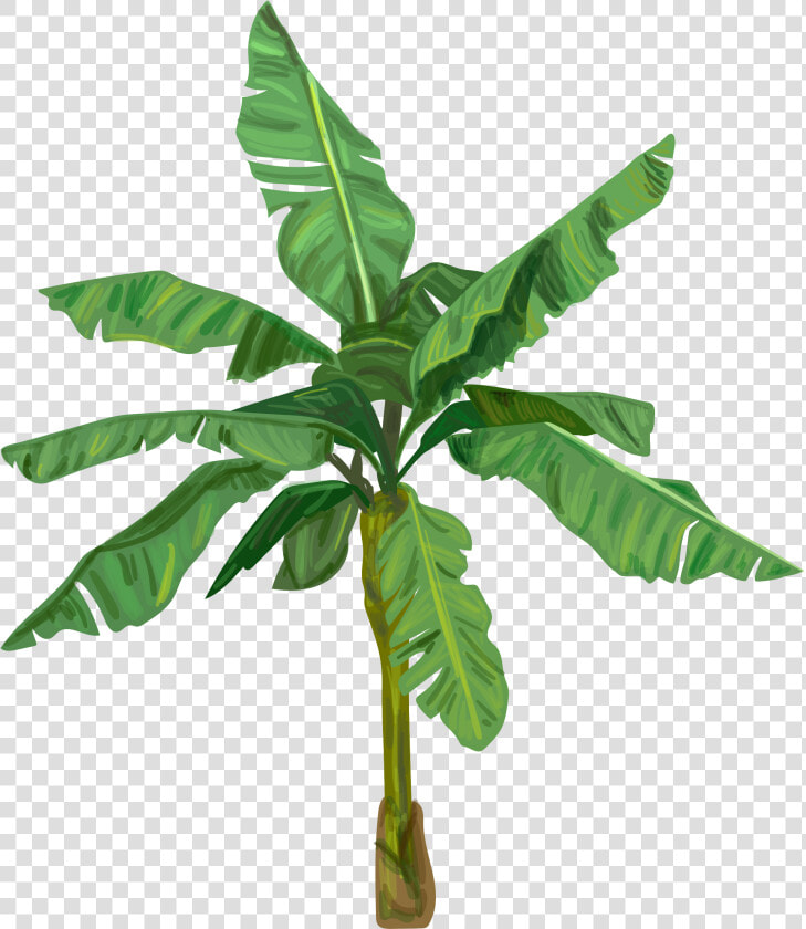 Banana Tree Images Png   Png Download   Banana Tree Icon Png  Transparent PngTransparent PNG