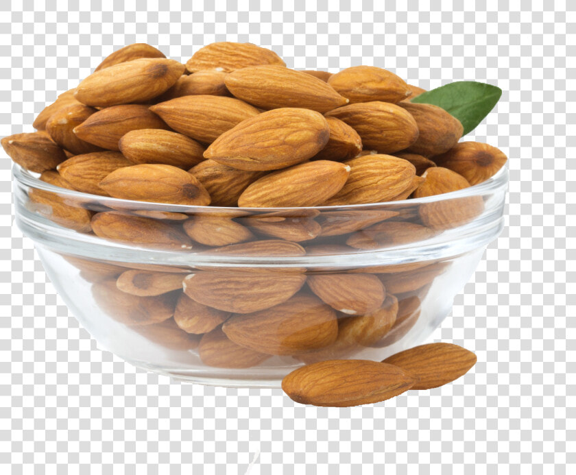 Almond   Png Download   Transparent Background Almond Png  Png DownloadTransparent PNG