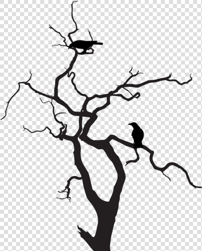 Dead Tree Clipart Birch   Creepy Tree Silhouette Png  Transparent PngTransparent PNG