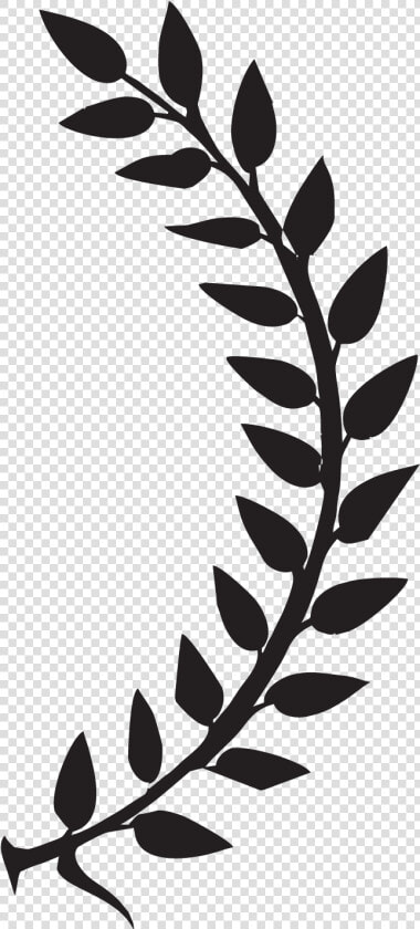 Laurel Leaves Right 01   Transparent Laurel Leaves  HD Png DownloadTransparent PNG