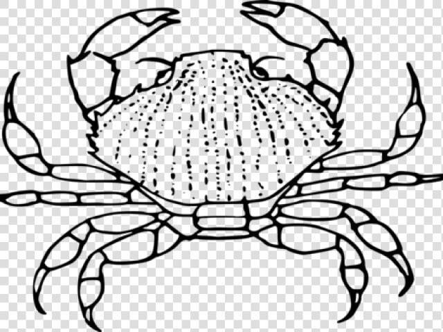 Hermit Crab Clipart Chibi   Clip Art  HD Png DownloadTransparent PNG