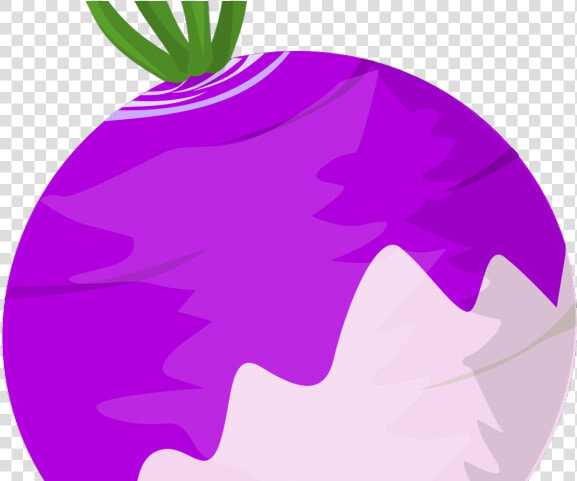 Turnip Clipart   Clip Art  HD Png DownloadTransparent PNG