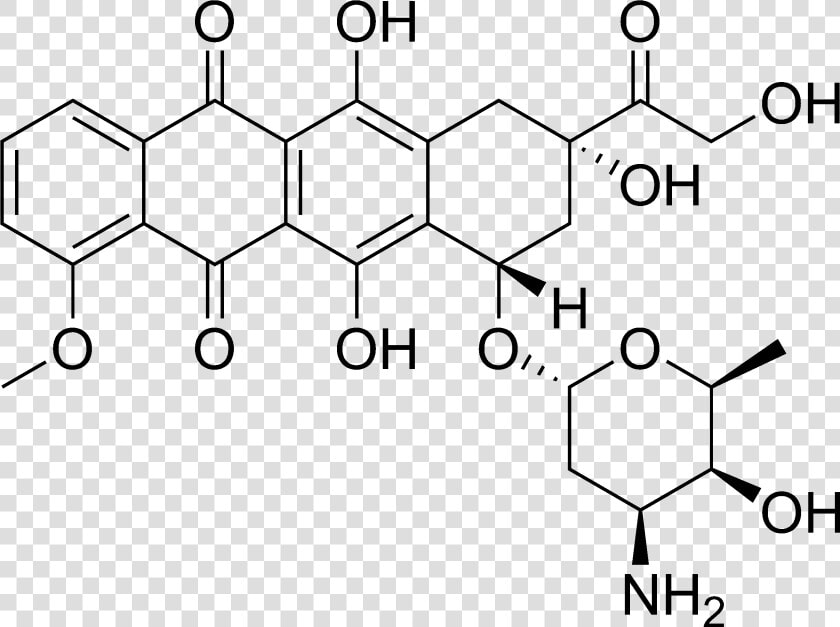 Doxorubicin Chemical Structure   Filgrastim Molecule  HD Png DownloadTransparent PNG