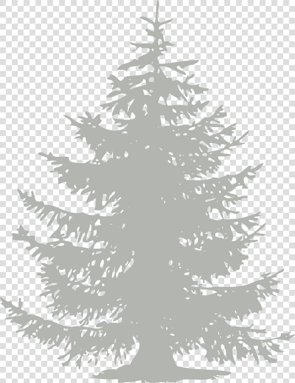 Chinook Fest   Pine Tree Flat Design  HD Png DownloadTransparent PNG