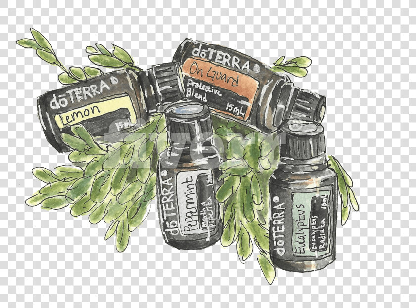 Do A Watercolor And Ink Illustration Of Whatever You   Glass Bottle  HD Png DownloadTransparent PNG