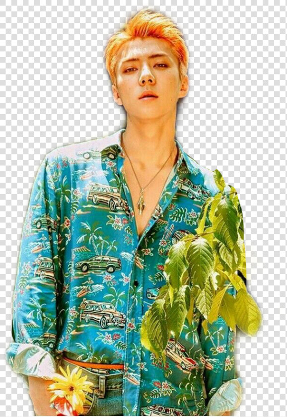  sehun  exo  kokobop  freetoedit  HD Png DownloadTransparent PNG