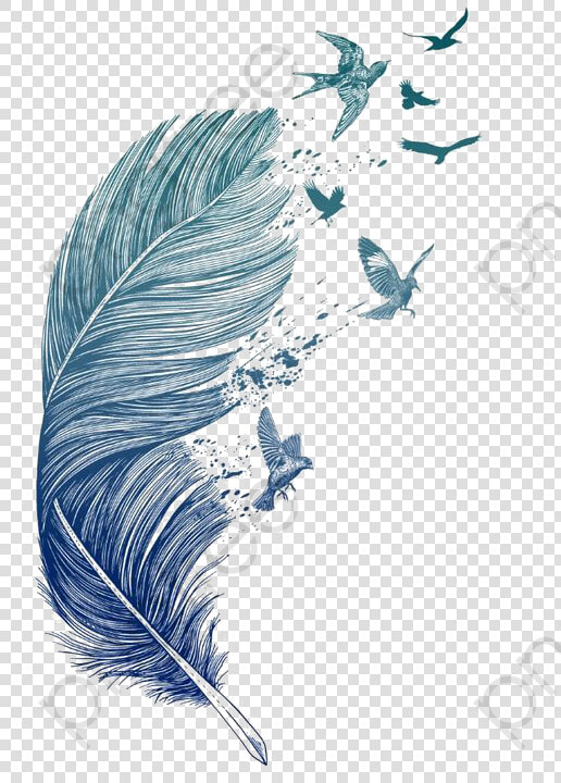 Feather Clipart Bird   Feather With Flying Birds  HD Png DownloadTransparent PNG