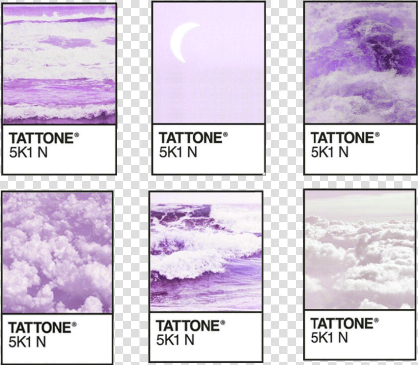 Transparent Tumblr Collage Stickers Png   Pantone Aesthetic  Png DownloadTransparent PNG