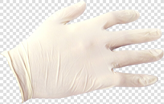 White Vinyl Exam Gloves  HD Png DownloadTransparent PNG