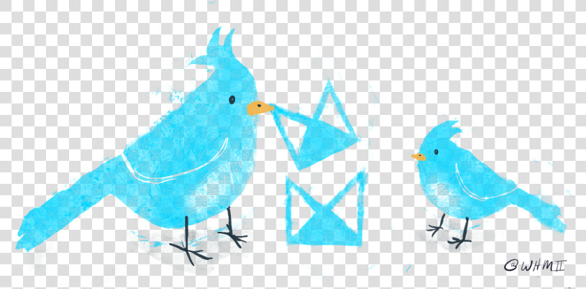 Neat Illustration Of 2 Birds Playing With The Neat   Illustration  HD Png DownloadTransparent PNG