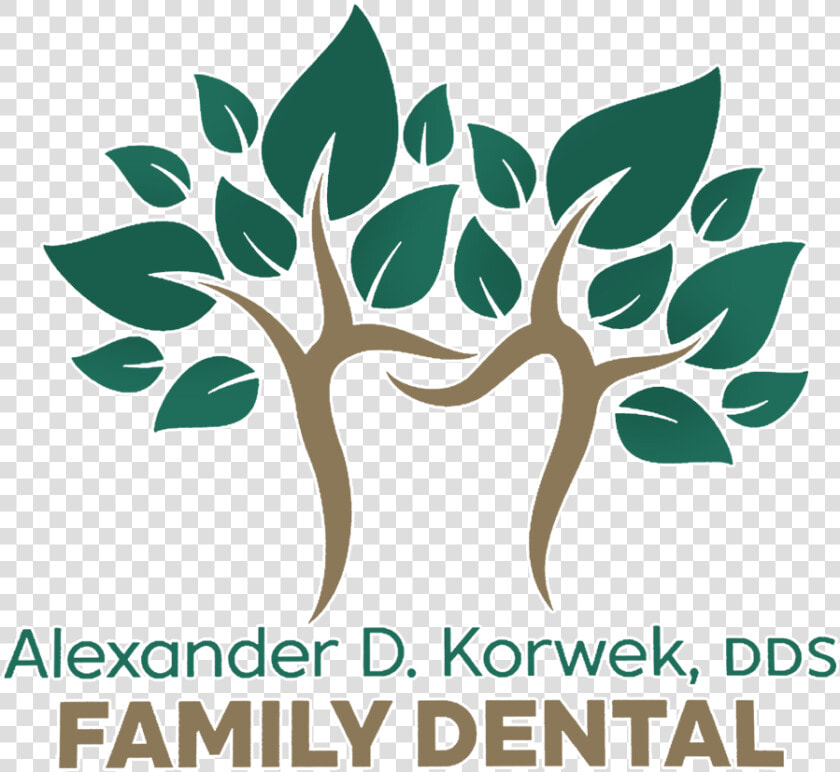 Alexander Korwek  Dds  Pc   Tree  HD Png DownloadTransparent PNG