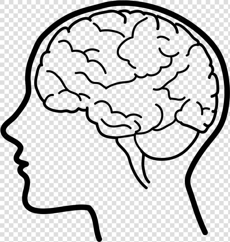 Human Brain Clip Art   Easy Drawing Of A Brain  HD Png DownloadTransparent PNG