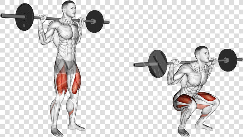 Do Box Squats Work   Png Download   Barbell Squat  Transparent PngTransparent PNG