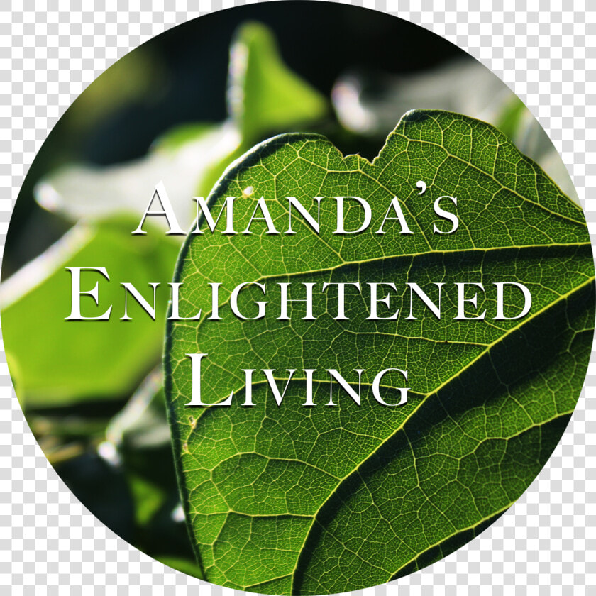 Amanda S Enlightened Living   Heart  HD Png DownloadTransparent PNG