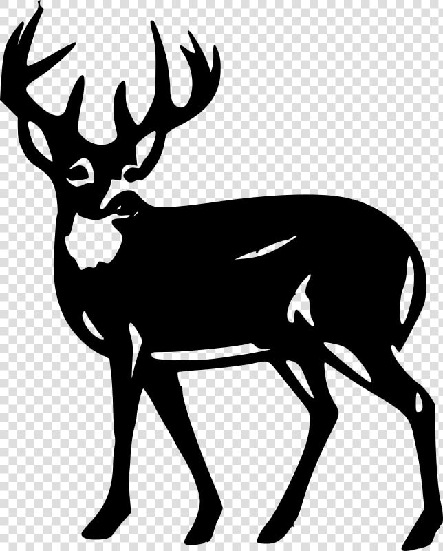 White Deer Silhouette At Getdrawings   Pittman Robertson Act  HD Png DownloadTransparent PNG