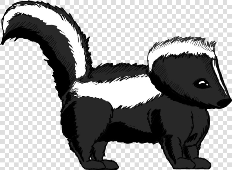 Skunk Clipart Striped Skunk   Skunk Clipart Transparent  HD Png DownloadTransparent PNG