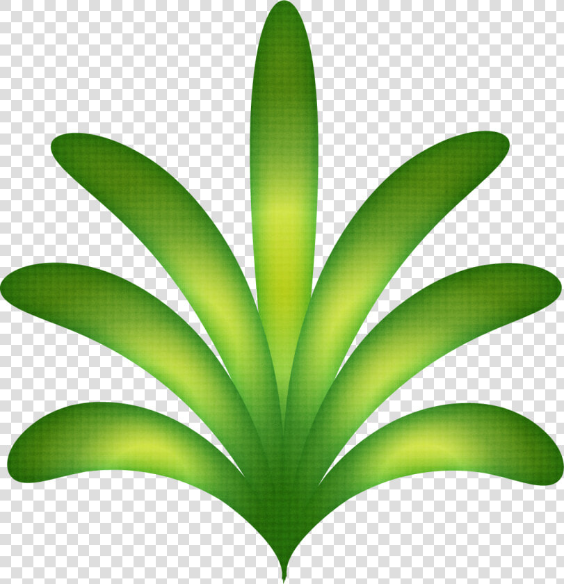 Freeuse Luau Havaianas Minus Festa Havaiana Pinterest   Folhas De Luau  HD Png DownloadTransparent PNG