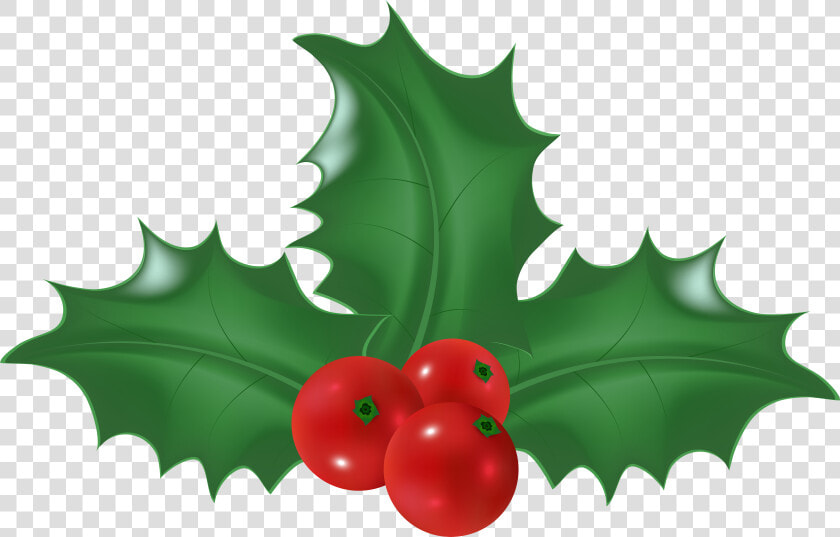 Mistletoe Clipart Holly  HD Png DownloadTransparent PNG