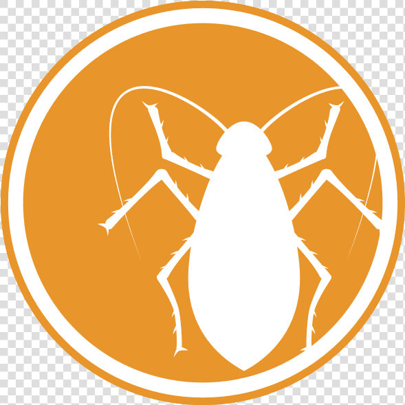 Icon Of A Roach   Pest Icons  HD Png DownloadTransparent PNG