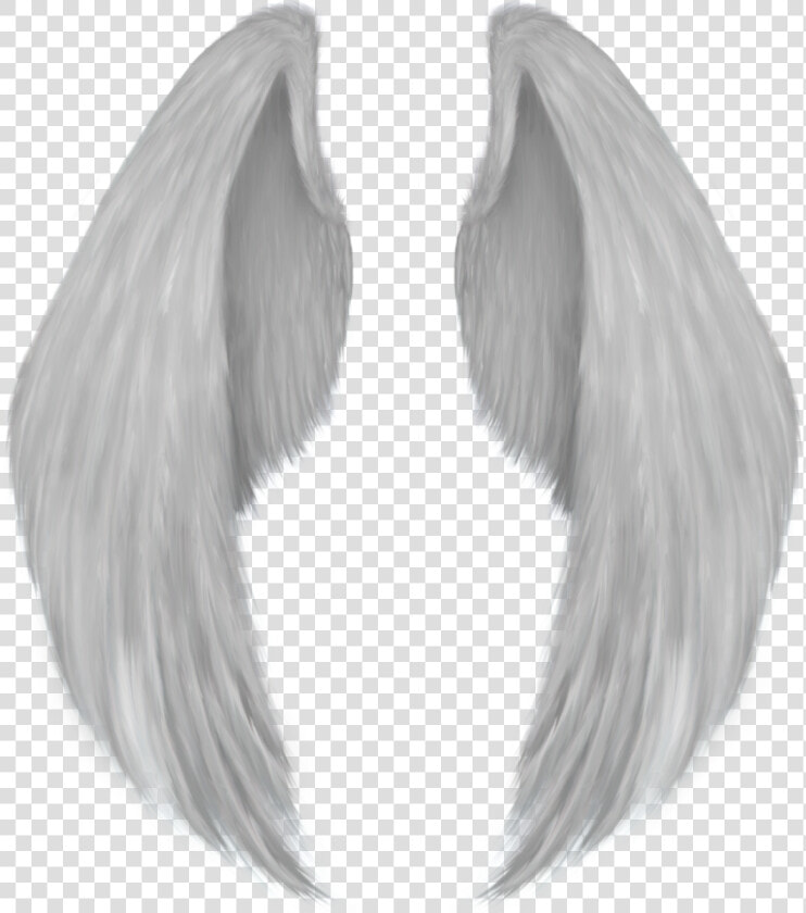 Angel Wing Drawing   Angel Wings Png  Transparent PngTransparent PNG