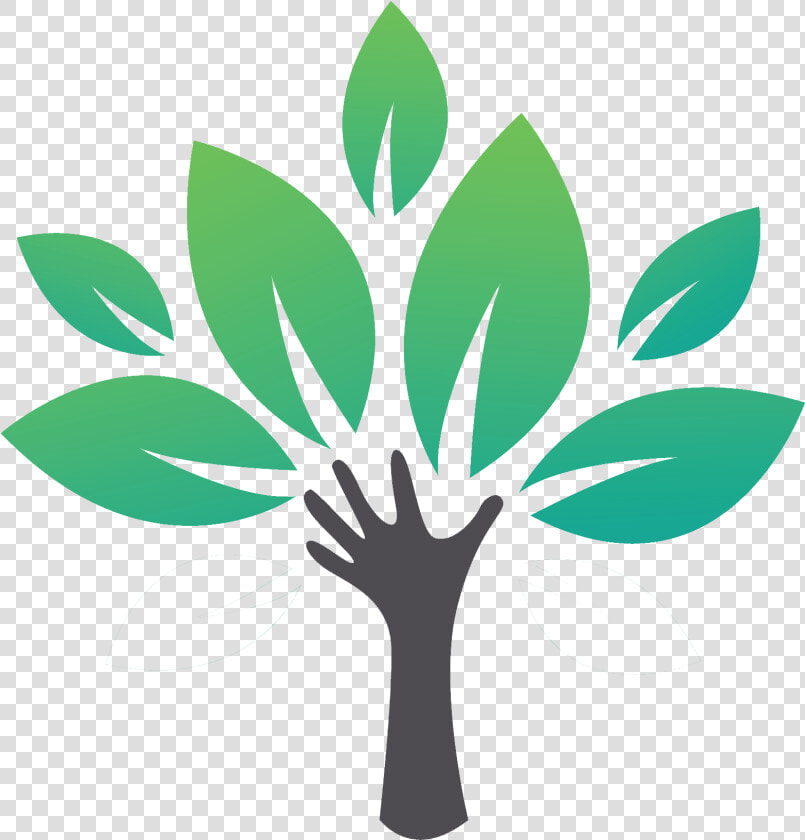 Blog   Myforestree   Georgina Chamber Of Commerce  HD Png DownloadTransparent PNG