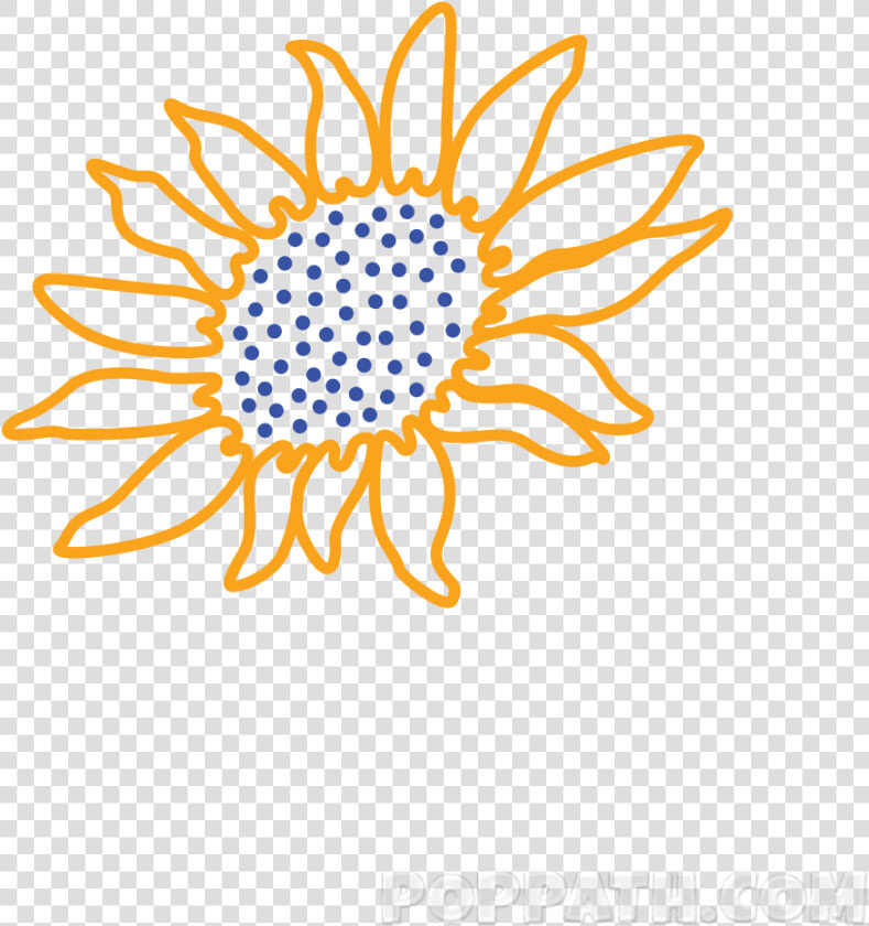 Use The Outline Of The Shape As A Guideline For Drawing   Sunflower Drawing Png  Transparent PngTransparent PNG