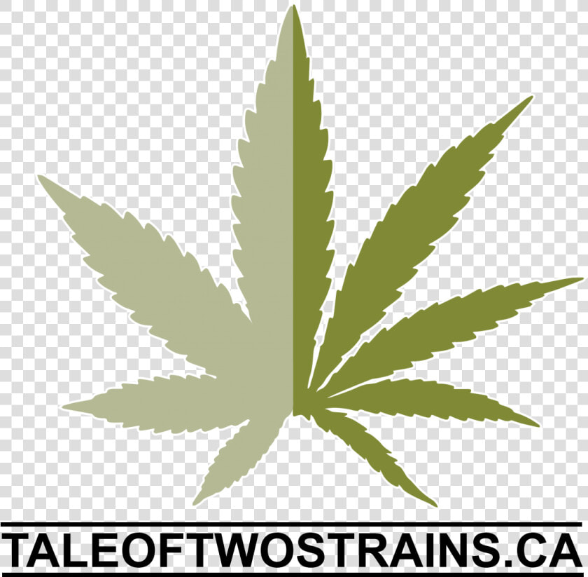 Tale Of Two Strains   Pot Leaf Cartoon Drawing  HD Png DownloadTransparent PNG