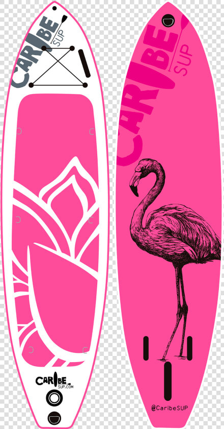 Flamingo Transparent Easy   Sup Board Flamingo  HD Png DownloadTransparent PNG