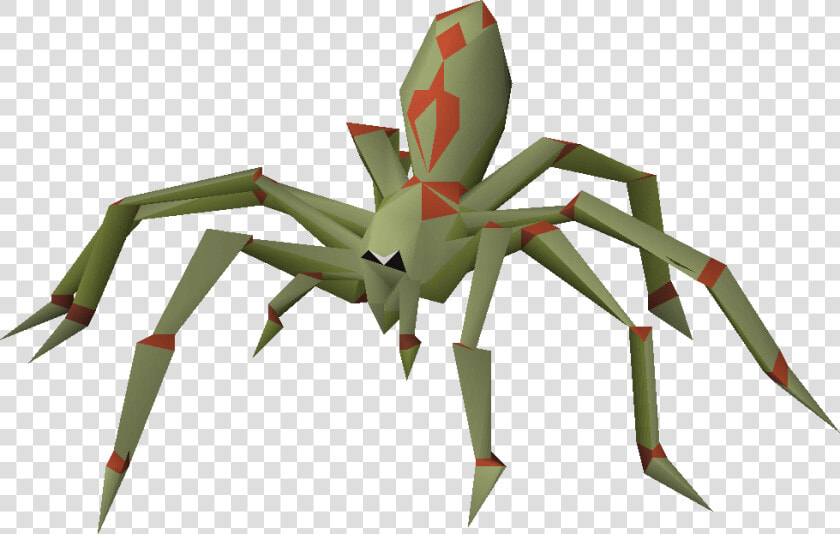 Araneus Cavaticus  HD Png DownloadTransparent PNG