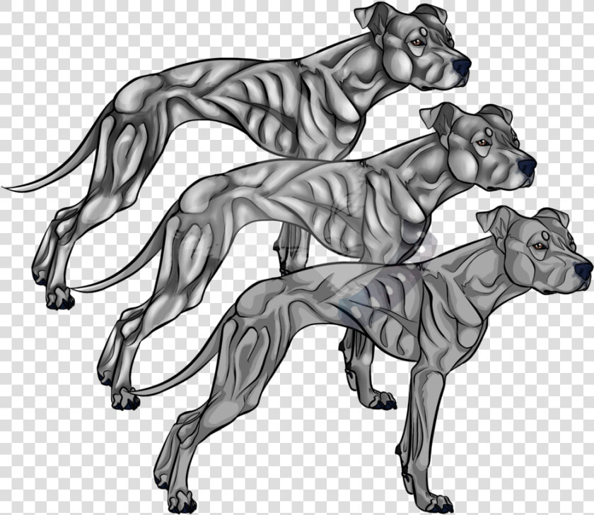 American Pit Bull Terrier Line Art Drawing   Pitbull Lineart  HD Png DownloadTransparent PNG