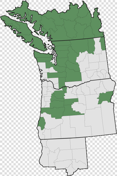 Evergreen Huckleberry Range Map  HD Png DownloadTransparent PNG