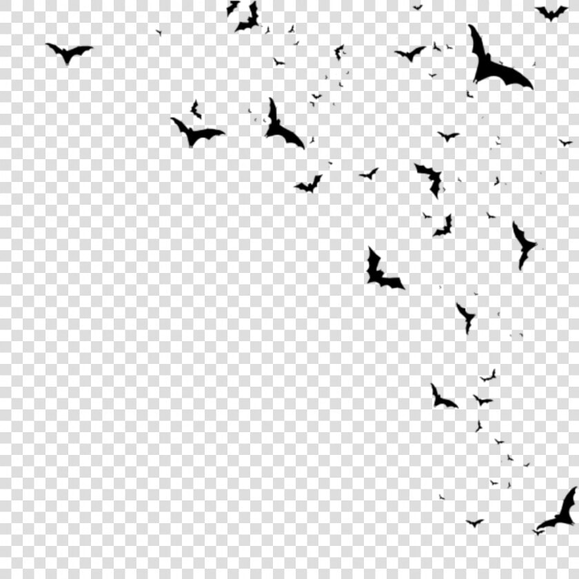 Transparent Flying Bats Clipart   Bats Png  Png DownloadTransparent PNG