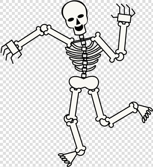 Skeleton Transparent Cartoon   Cartoon Transparent Background Skeleton  HD Png DownloadTransparent PNG