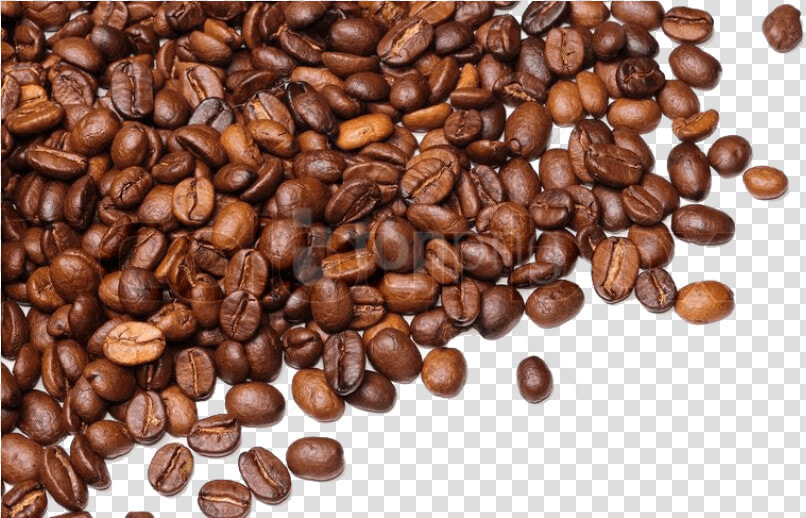 Free Png Download Coffee Beans Png Images Background   Transparent Background Coffee Beans Png  Png DownloadTransparent PNG