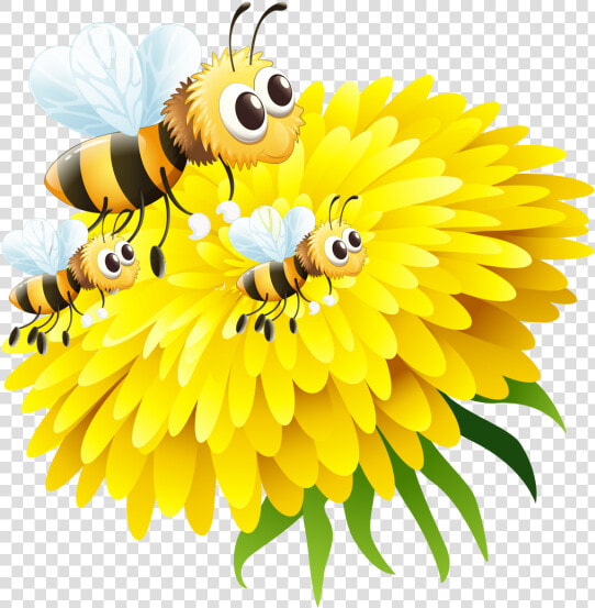 Honey Bee On Flower   Bee And Flower Png  Transparent PngTransparent PNG