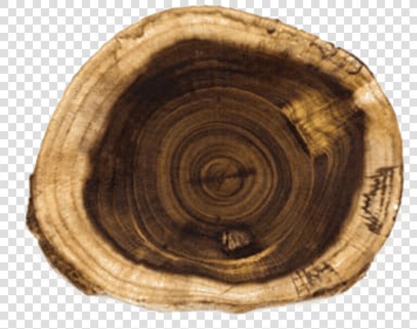 Weinholz   Holz Mit Schöner Maserung  HD Png DownloadTransparent PNG