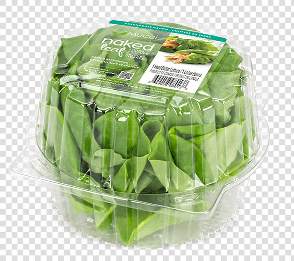 Butter Clam 1ct New   Snow Peas  HD Png DownloadTransparent PNG