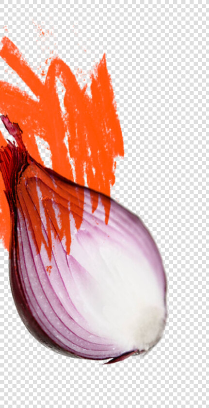 Cinder House Flame One   Red Onion  HD Png DownloadTransparent PNG