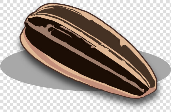 Sunflower Seeds Png   One Sunflower Seed Png  Transparent PngTransparent PNG