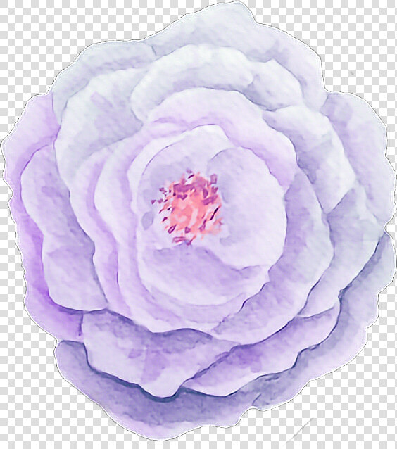  pink  flower  floral  ftestickers  flowers  watercolor   Purple Pink Watercolor Flower Png  Transparent PngTransparent PNG