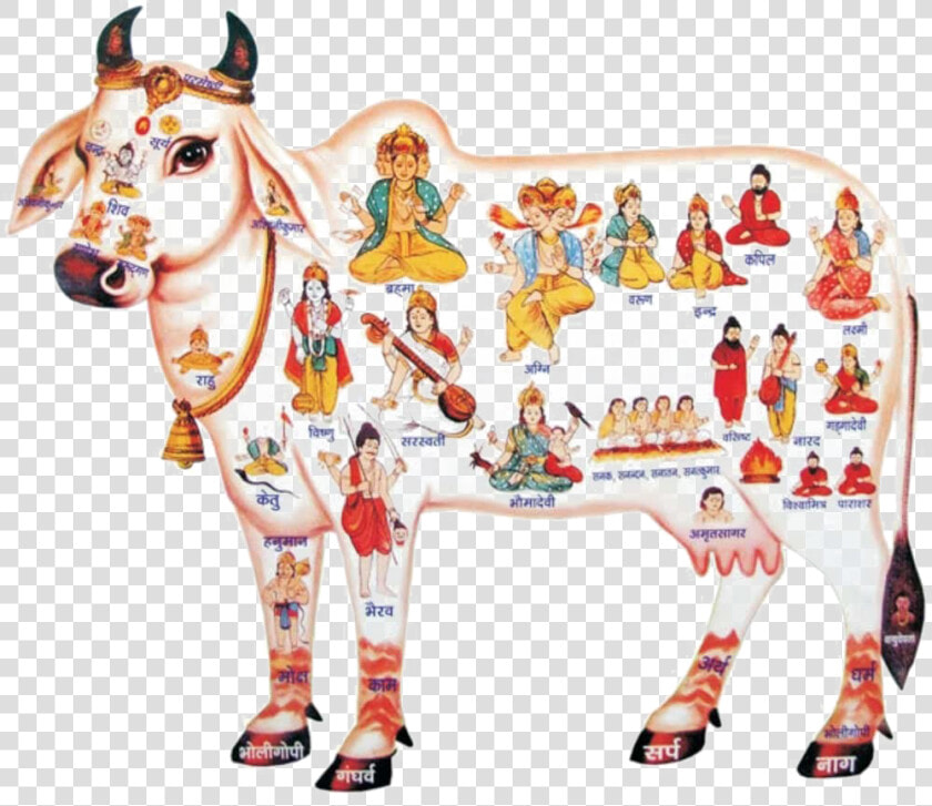 Kamadhenu Png High quality Image   Desi Cow  Transparent PngTransparent PNG