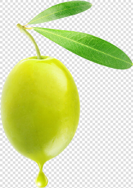 Olive Png   Green Olive Stickers  Transparent PngTransparent PNG