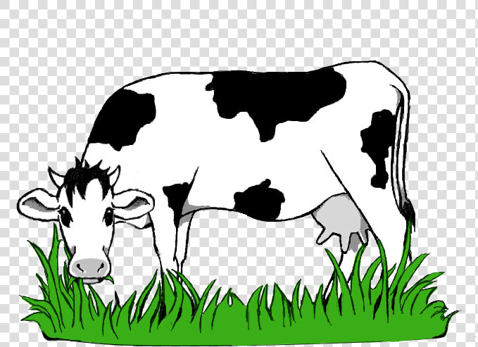 Black And White Stock Collection Of Grazing High Quality   Cow Eating Grass Png  Transparent PngTransparent PNG