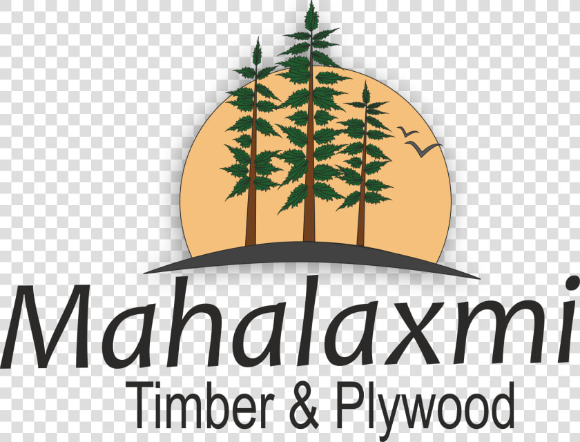 Mahalaxmi Timber And Plywood   Red Pine  HD Png DownloadTransparent PNG