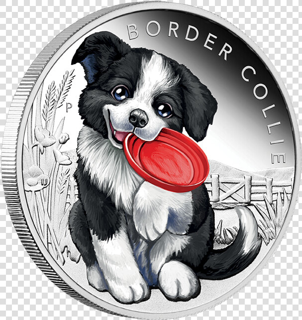 Transparent Border Collie Png   臺 銀 寵物  Png DownloadTransparent PNG